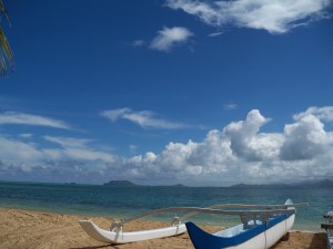 101_7718 - Copy - Copy